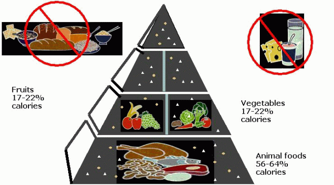 Cordain’s Food Pyramid