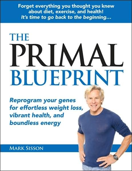 energy sword blueprints. The Primal Blueprint: